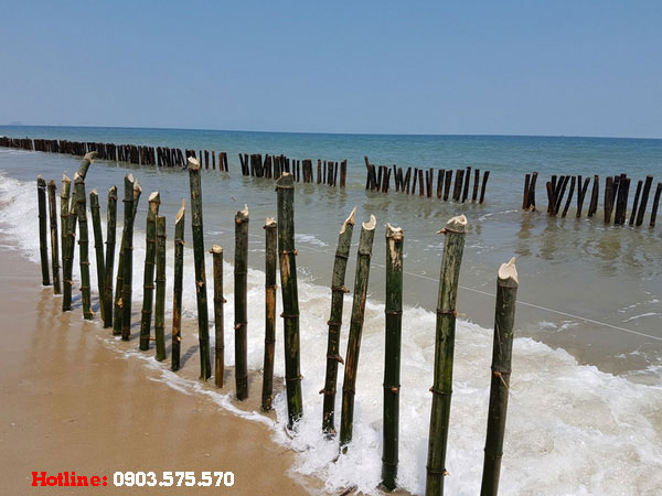 Phạm Vi Áp Dụng Cột Tre